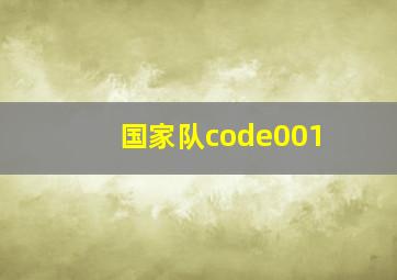 国家队code001