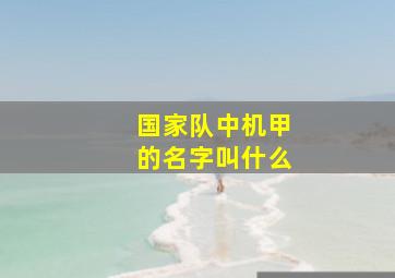 国家队中机甲的名字叫什么