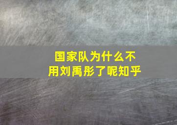 国家队为什么不用刘禹彤了呢知乎