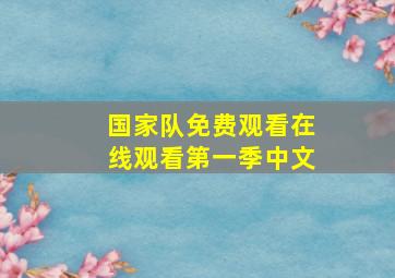 国家队免费观看在线观看第一季中文