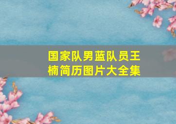 国家队男蓝队员王楠简历图片大全集