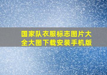 国家队衣服标志图片大全大图下载安装手机版