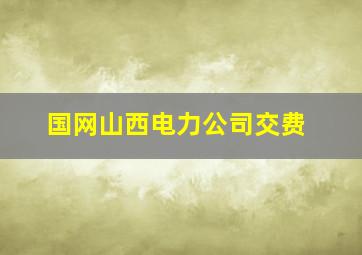 国网山西电力公司交费