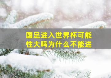 国足进入世界杯可能性大吗为什么不能进