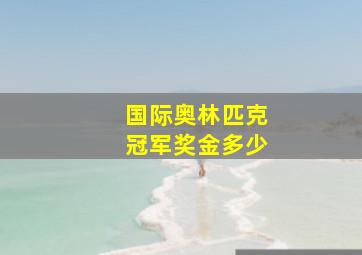 国际奥林匹克冠军奖金多少