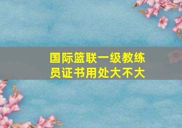 国际篮联一级教练员证书用处大不大