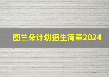 图兰朵计划招生简章2024