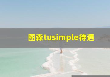 图森tusimple待遇