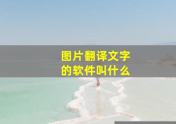 图片翻译文字的软件叫什么