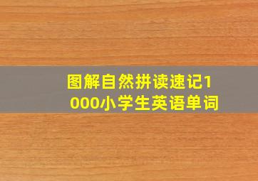 图解自然拼读速记1000小学生英语单词