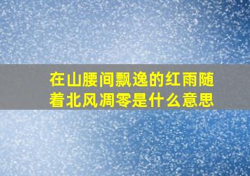 在山腰间飘逸的红雨随着北风凋零是什么意思