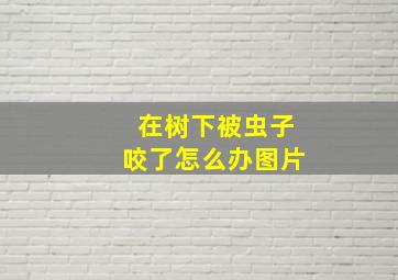 在树下被虫子咬了怎么办图片