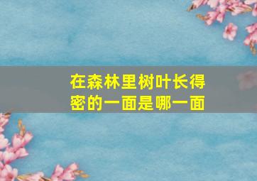 在森林里树叶长得密的一面是哪一面