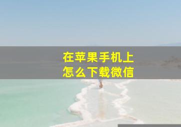 在苹果手机上怎么下载微信