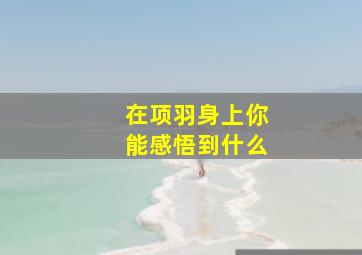 在项羽身上你能感悟到什么