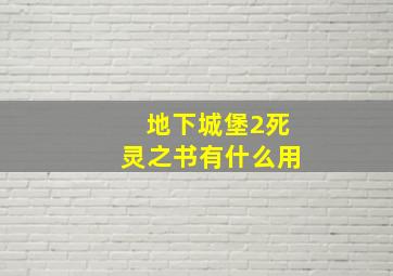 地下城堡2死灵之书有什么用