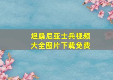 坦桑尼亚士兵视频大全图片下载免费