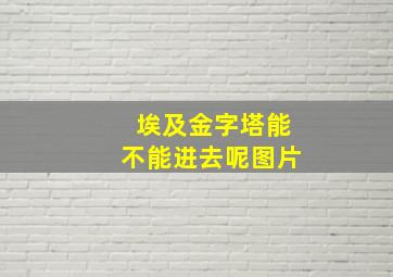 埃及金字塔能不能进去呢图片