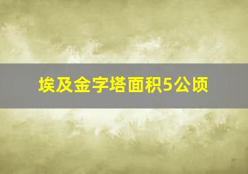 埃及金字塔面积5公顷