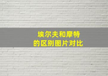 埃尔夫和摩特的区别图片对比