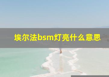 埃尔法bsm灯亮什么意思