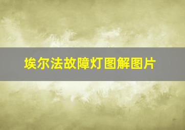 埃尔法故障灯图解图片