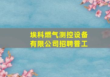 埃科燃气测控设备有限公司招聘普工