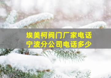 埃美柯阀门厂家电话宁波分公司电话多少