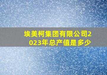 埃美柯集团有限公司2023年总产值是多少