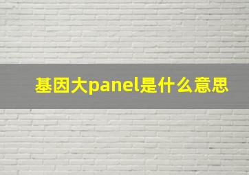 基因大panel是什么意思