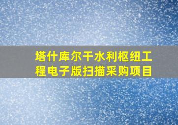 塔什库尔干水利枢纽工程电子版扫描采购项目