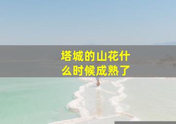 塔城的山花什么时候成熟了