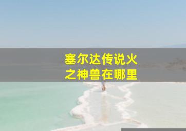 塞尔达传说火之神兽在哪里