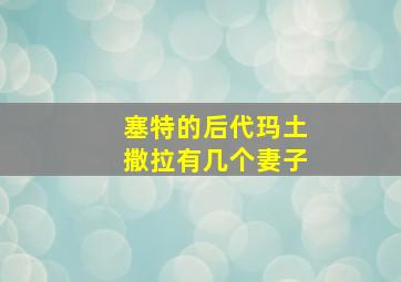 塞特的后代玛土撒拉有几个妻子