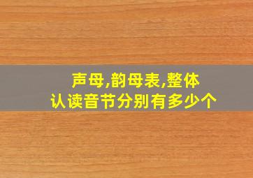 声母,韵母表,整体认读音节分别有多少个