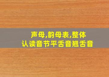 声母,韵母表,整体认读音节平舌音翘舌音