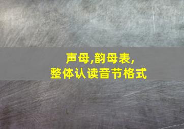 声母,韵母表,整体认读音节格式