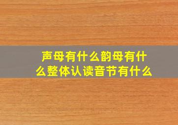 声母有什么韵母有什么整体认读音节有什么