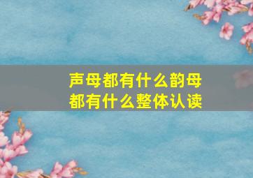 声母都有什么韵母都有什么整体认读