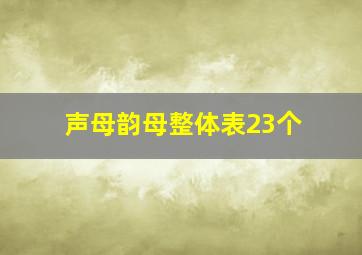 声母韵母整体表23个