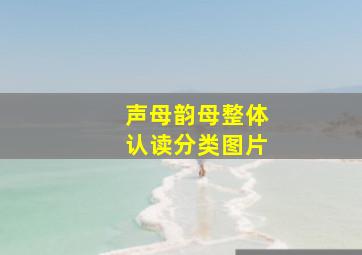 声母韵母整体认读分类图片