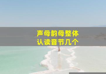 声母韵母整体认读音节几个