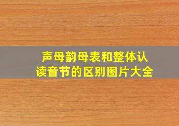 声母韵母表和整体认读音节的区别图片大全