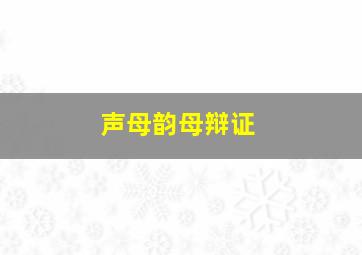 声母韵母辩证