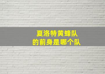 夏洛特黄蜂队的前身是哪个队