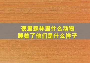 夜里森林里什么动物睡着了他们是什么样子