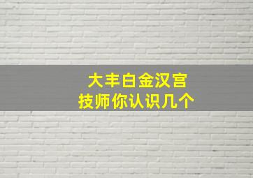 大丰白金汉宫技师你认识几个