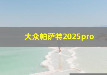 大众帕萨特2025pro