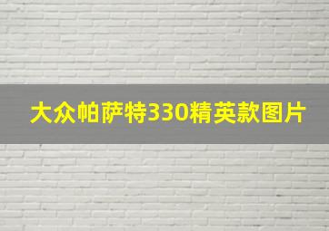 大众帕萨特330精英款图片