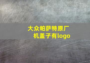 大众帕萨特原厂机盖子有logo